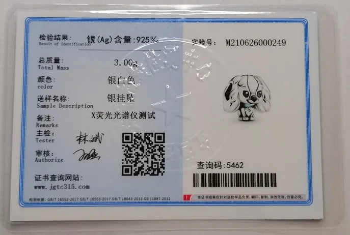 Hot Sale 925 Sterling Silver Princess Charm – DIY Women’s Bracelet Gift