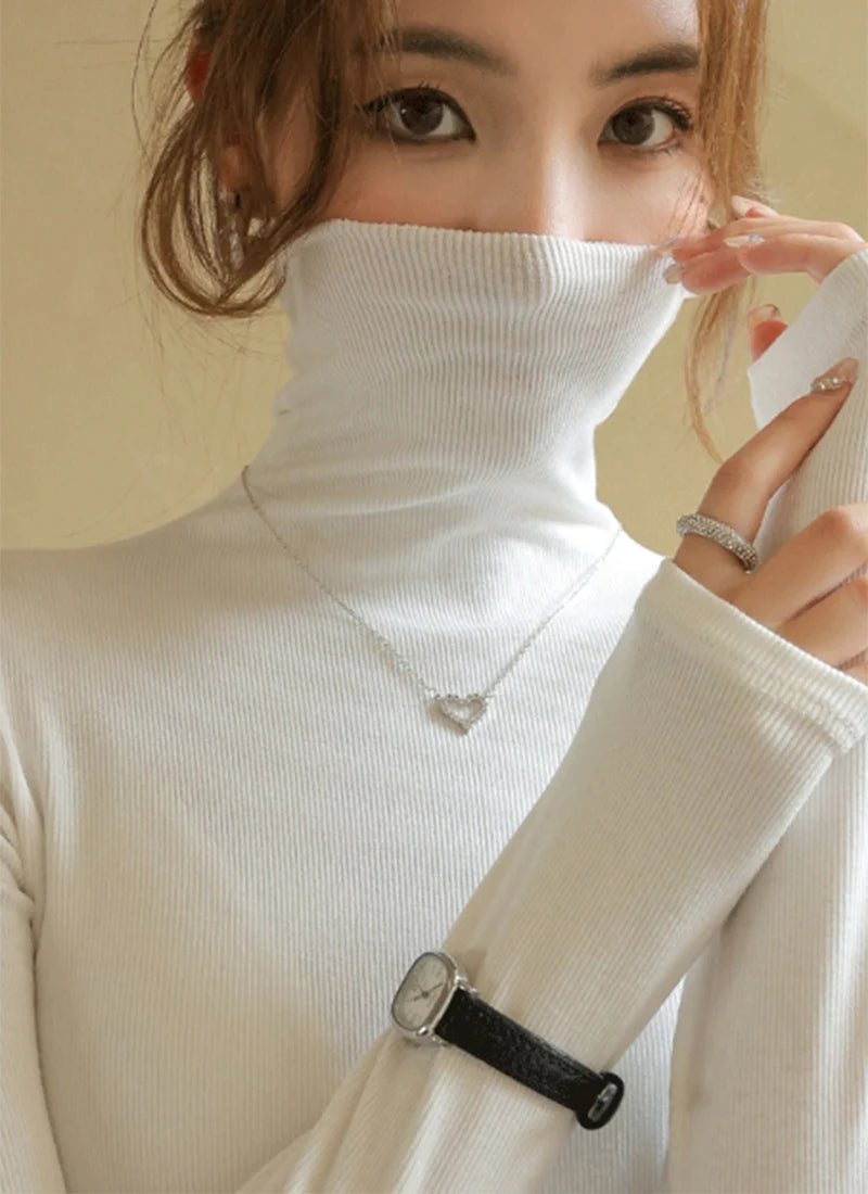Women's Turtleneck Knitted Sweater | Autumn Slim Fit Pullover | High-End Long Sleeve Basic Top