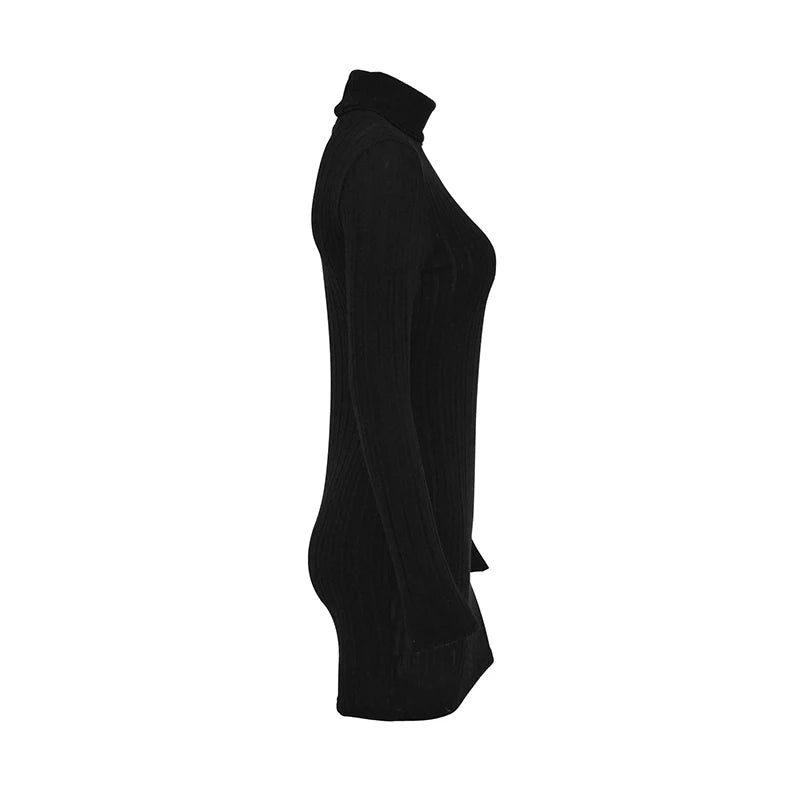 Women’s Autumn Winter Turtleneck Bodycon Mini Dress – Long Sleeve Solid Sheath Sexy Club Party Knitted Dress