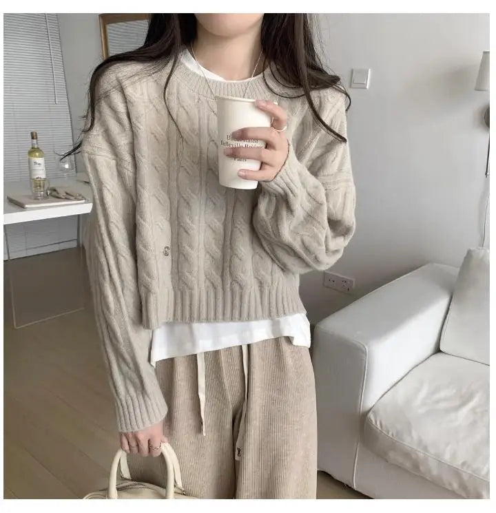 Soft Knit Sweater Women’s Top – Lazy Sleeve Inner Wear | Autumn Winter New Arrival Twist Cotton Long Sleeve Round Neck