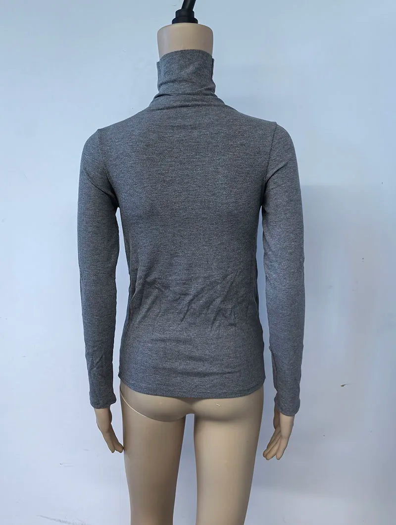 Women's Turtleneck Knitted Sweater | Autumn Slim Fit Pullover | High-End Long Sleeve Basic Top