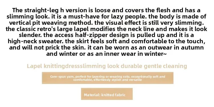 Autumn Winter High Collar Knitted Dress for Women – Loose Fit Long Sleeve Straight Tube Casual Warm Outfit