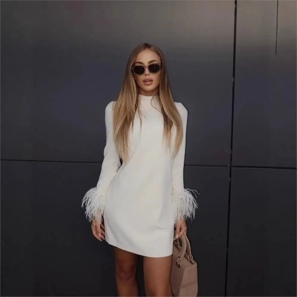 2025 Autumn Winter Slim-Fit Feather Splicing Dress for Women – Elegant Long-Sleeve Office Short Dress | New Fashion