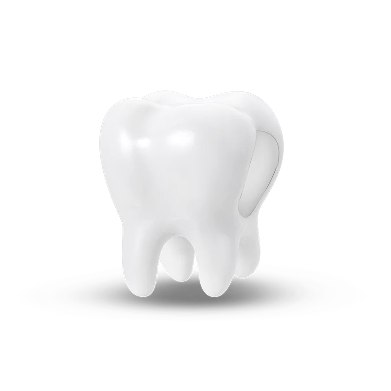 100% 925 Sterling Silver Dinosaur Frog Butterfly Charms Beads | Fit 4mm Bracelets DIY Anniversary Jewelry