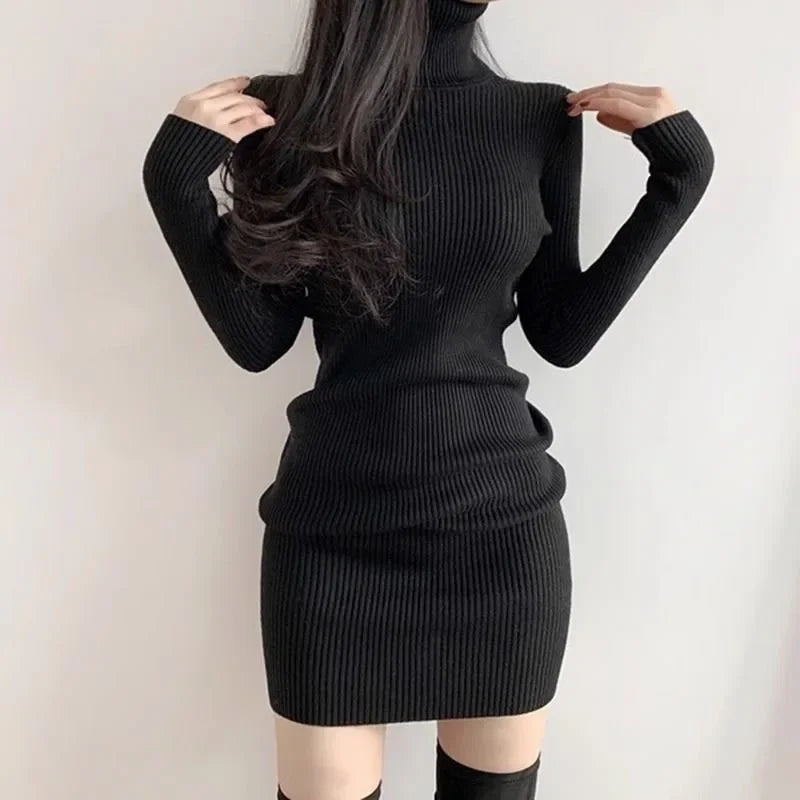 Fanan 2024 Turtleneck Sweater Dress – Sexy Slim Streetwear Bodycon Mini Dress for Women | Thick Basic Bottoming Dress