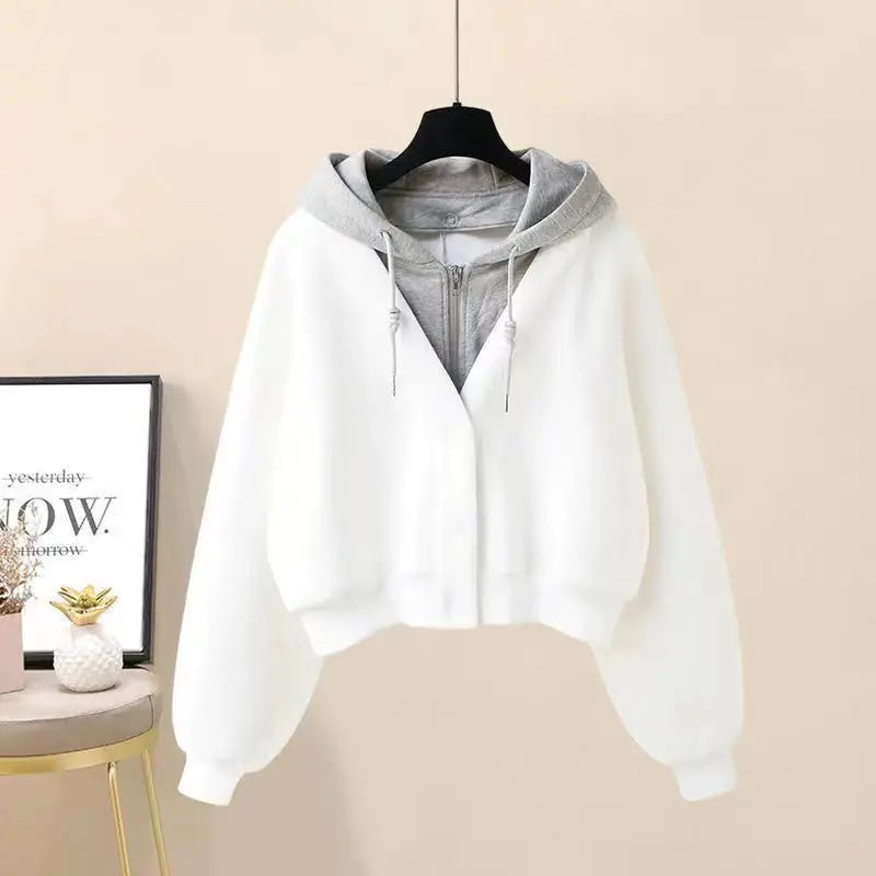 Plush Thickened Women’s Two-Piece Skirt Set – Long Sleeve Hooded Top & Mini Pleated Skirt ❄️👗