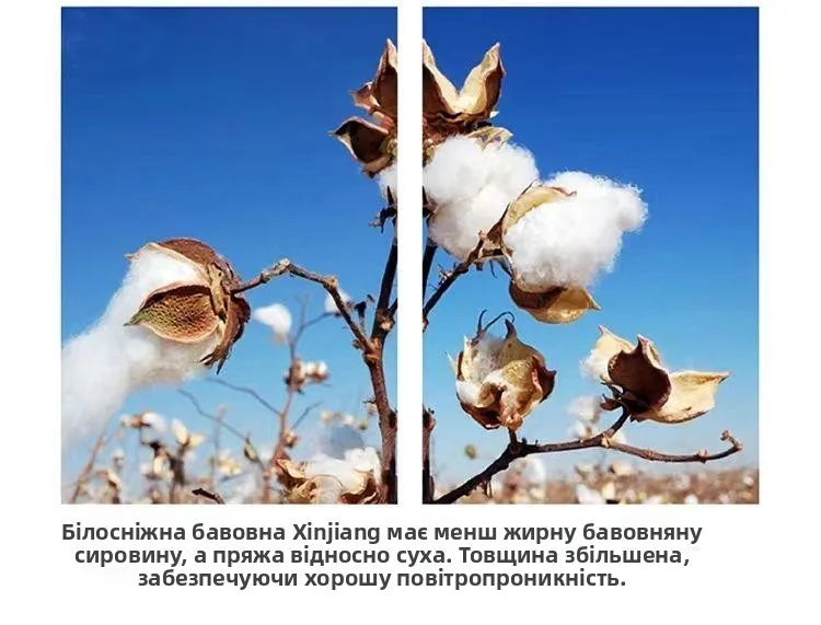 Loose Fit Pure Cotton T-Shirt | Korean Style Round Neck Basic Top | Unisex Layering Tee in Purple