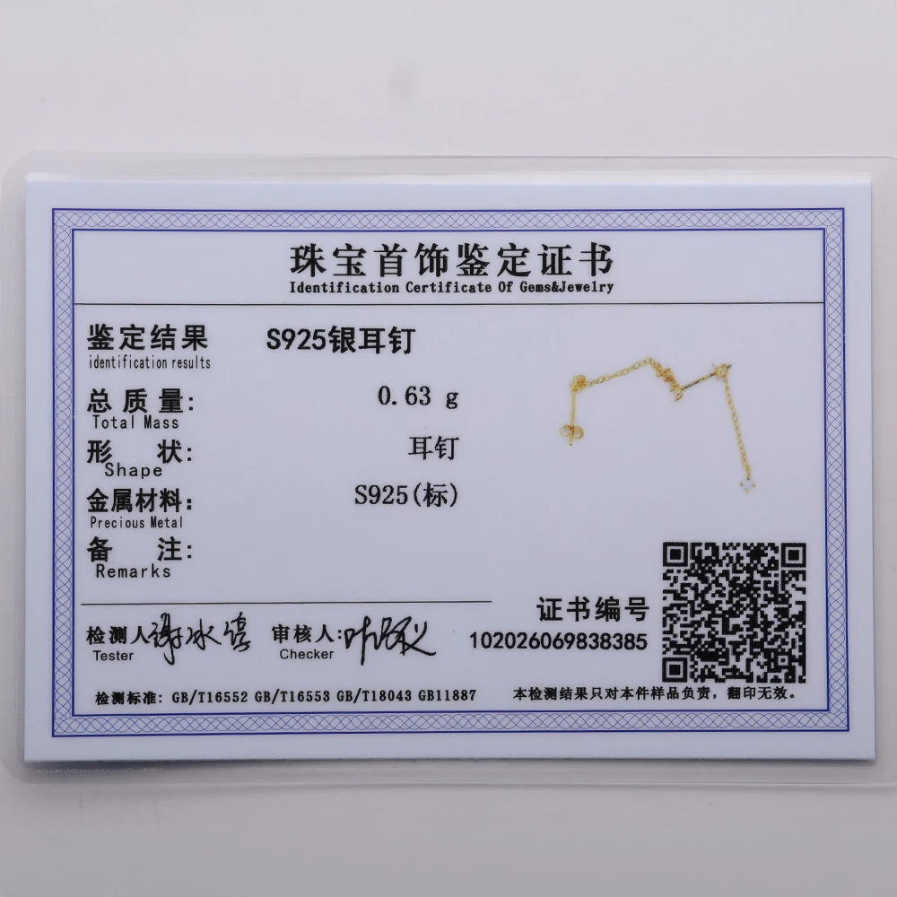 CANNER 925 Sterling Silver Horse Eye Tassel Zircon Drop Earrings – Minimalist Geometric Jewelry for Women