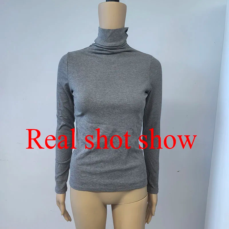 Women's Turtleneck Knitted Sweater | Autumn Slim Fit Pullover | High-End Long Sleeve Basic Top