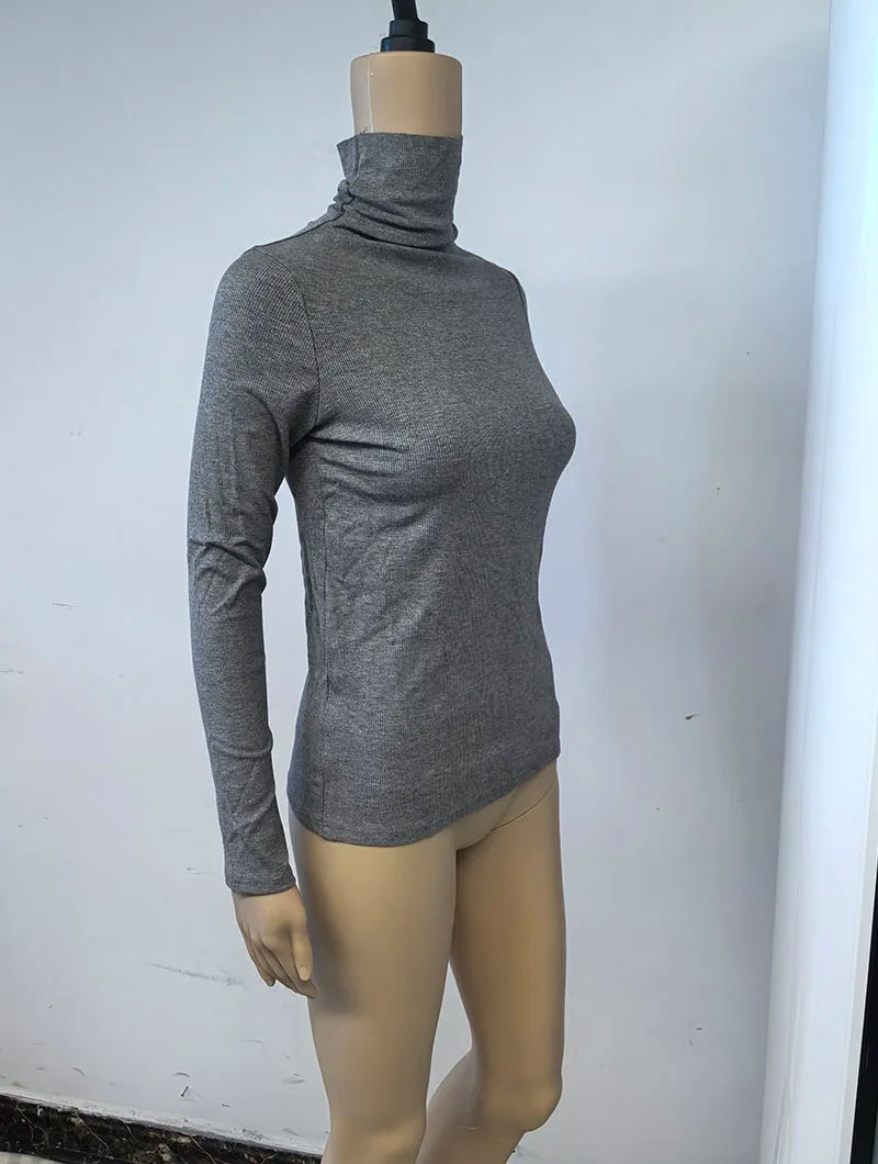 Women's Turtleneck Knitted Sweater | Autumn Slim Fit Pullover | High-End Long Sleeve Basic Top