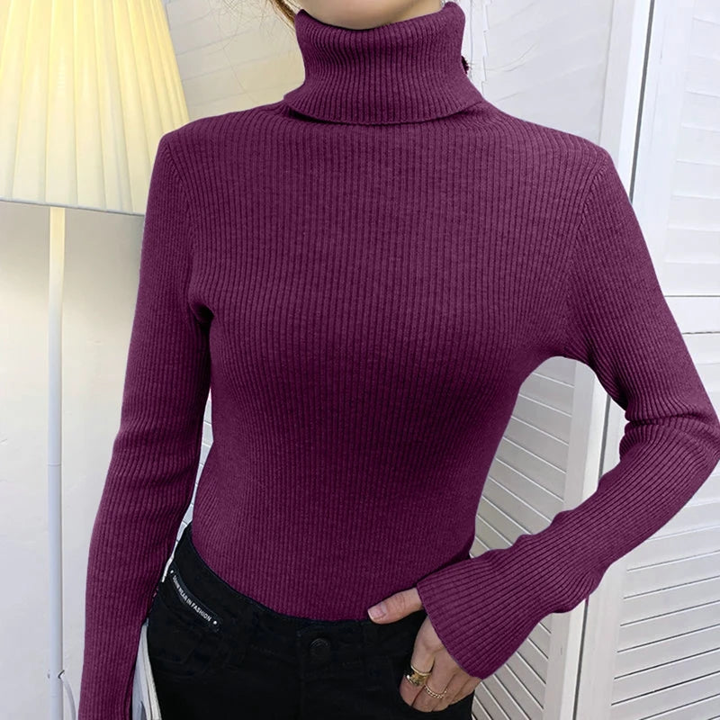 Heliar Women’s Fall Turtleneck Sweater – Soft Knitted Cashmere Pullover, Basic Warm Jumper for Autumn Winter 2024